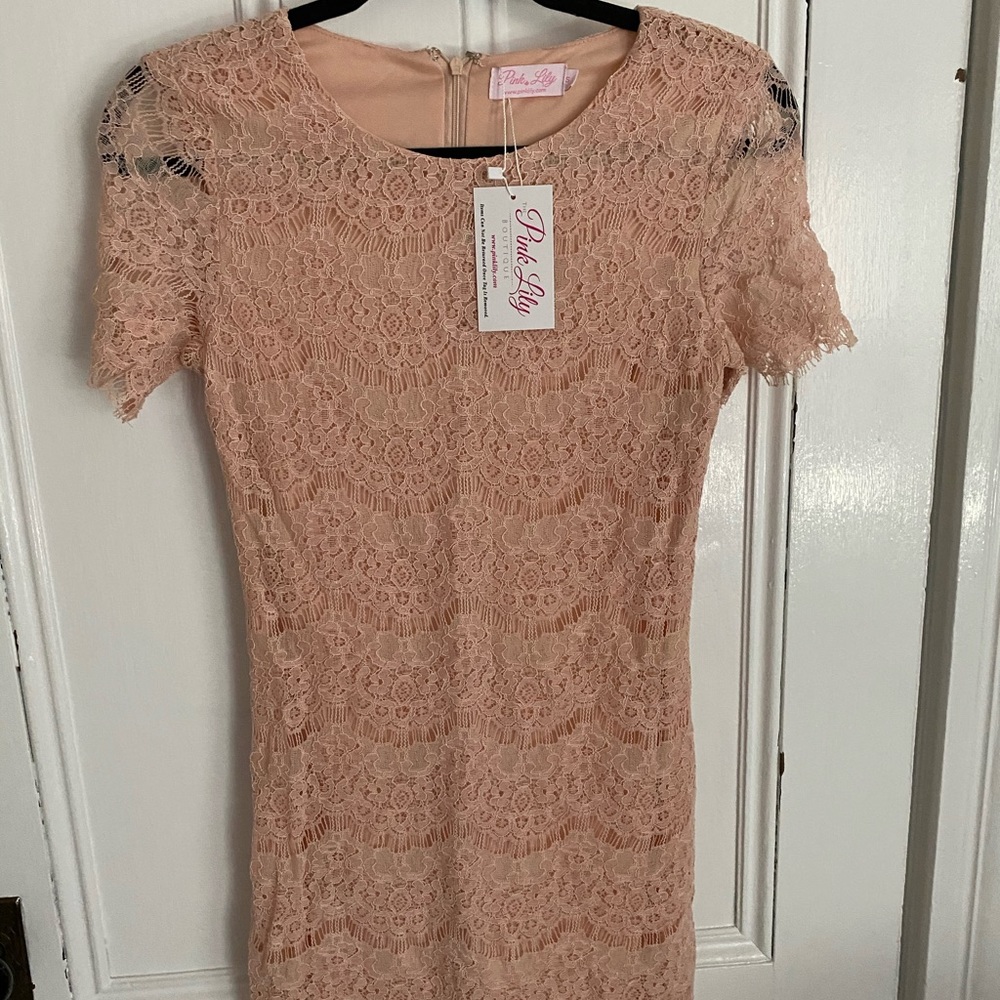 Blush Lace Dress